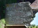 image of grave number 816690